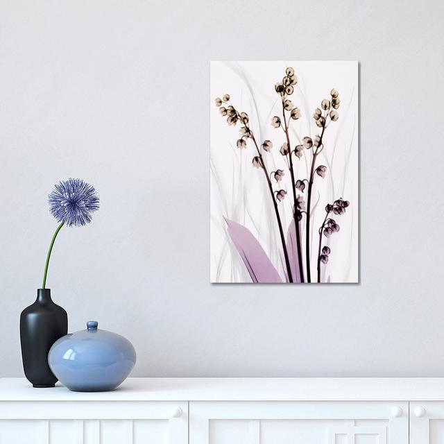 Radiant Snowdrops III by Albert Koetsier - Wrapped Canvas Print Rosalind Wheeler Size: 45.72cm H x 30.48cm W x 1.91cm D on Productcaster.