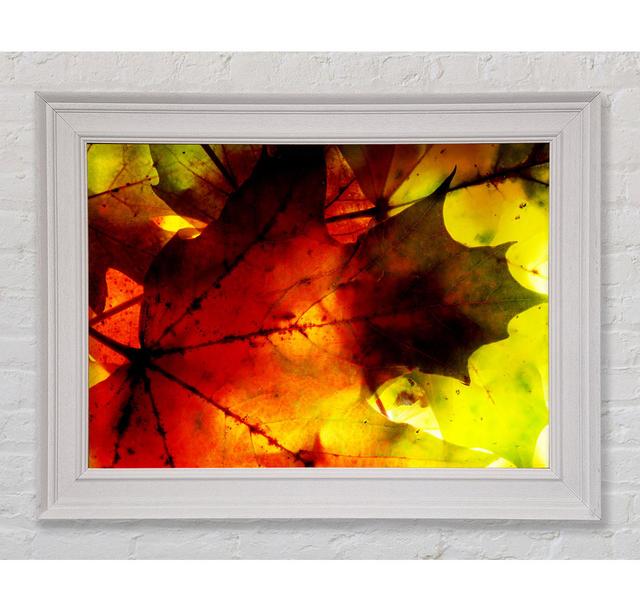 Bursting With Life - Single Picture Frame Art Prints Rosalind Wheeler Size: 42cm H x 59.7cm W x 8cm D on Productcaster.