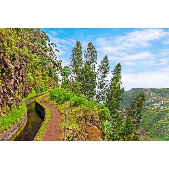 Along The Levada, Madeira by - Wrapped Canvas Photograph Alpen Home Size: 51cm H x 76cm W on Productcaster.