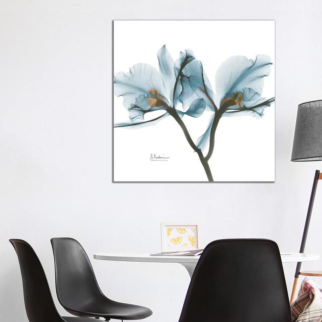 Blue Orchid by Albert Koetsier - Wrapped Canvas Painting Latitude Run Size: 93.98cm H x 93.98cm W x 1.91cm D on Productcaster.