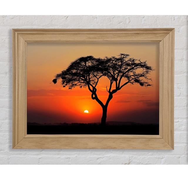 African Sunset - Print Brayden Studio Format: Natural Framed Paper, Size: 42cm H x 59.7cm W x 8cm D on Productcaster.