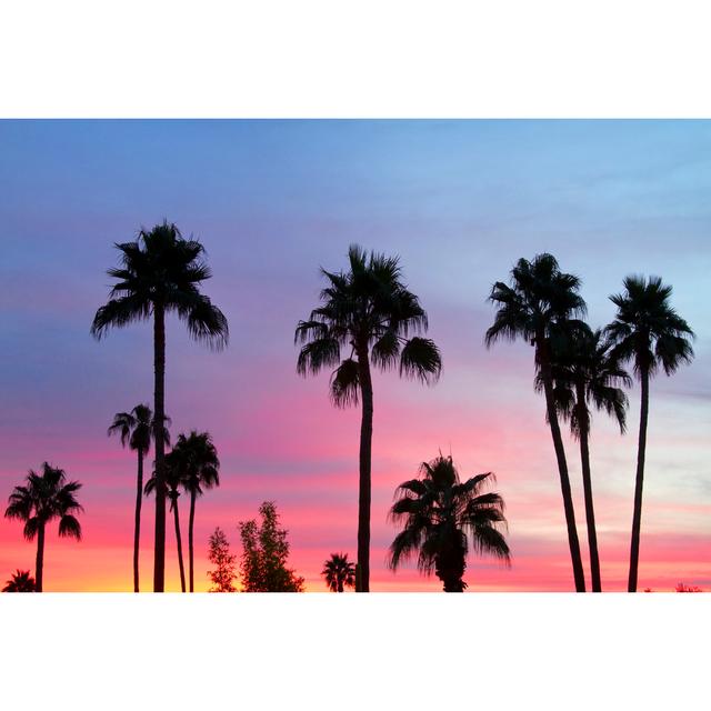 Paradise Palm Tree Sunset Sky by Striking Photography - Wrapped Canvas Photograph 17 Stories Size: 81cm H x 122cm W on Productcaster.