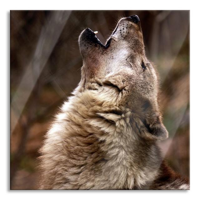 Howling Wolf - Unframed Photograph on Glass Union Rustic Size: 70cm H x 70cm W x 0.4cm D on Productcaster.