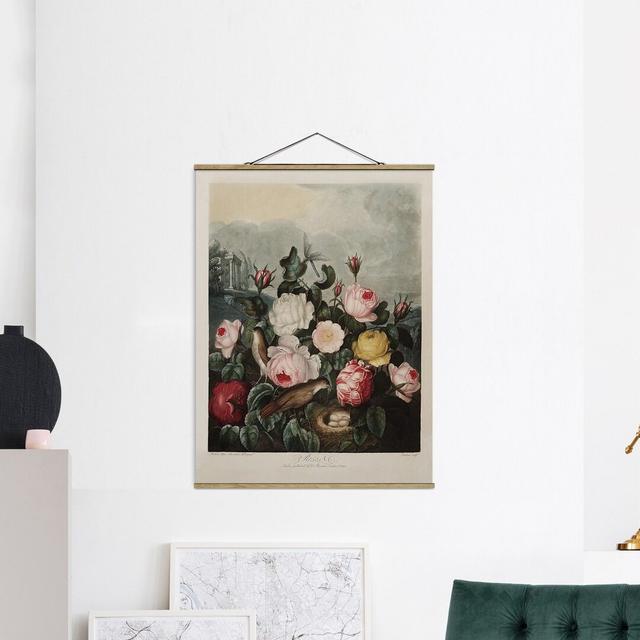 Grafikdruck Botany Vintage Illustration Roses Rosalind Wheeler Größe: 133,5 cm H x 100 cm B x 0,3 cm T on Productcaster.