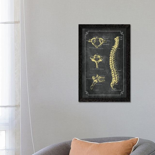 Bones Of The Spine by ChartSmartDecor - Print on Canvas East Urban Home Frame Option: Black Framed, Size: 66.04cm H x 45.72cm W x 3.81cm D on Productcaster.