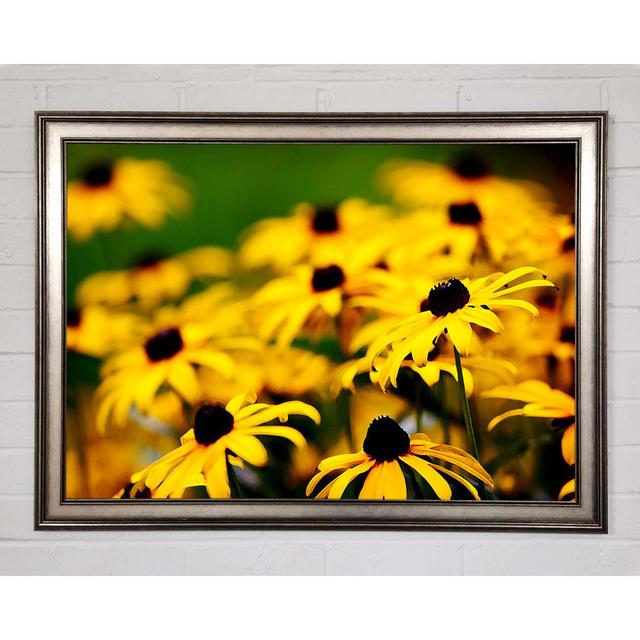 Yellow Daisy Pom Poms - Print Brayden Studio Size: 84.1cm H x 118.9cm W x 1.5cm D on Productcaster.