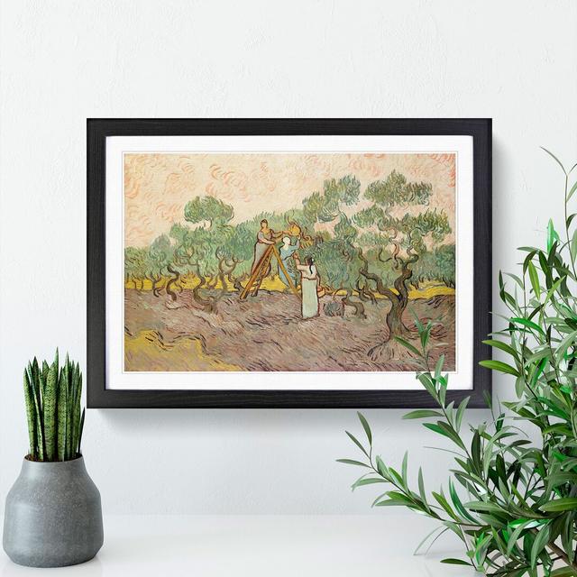 Women Picking Olives by Vincent Van Gogh - Picture Frame Painting East Urban Home Size: 36cm H x 48cm W x 2cm D, Frame Option: Black Framed on Productcaster.