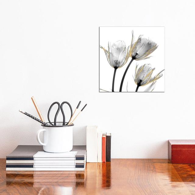 Gold Embellished Tulips II by Albert Koetsier - Wrapped Canvas Painting ClassicLiving Size: 30.48cm H x 30.48cm W x 1.91cm D on Productcaster.