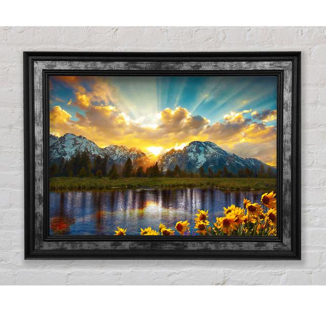 Flowers In Front Of The Mountains Framed Print Bright Star Size: 42cm H x 59.7cm W on Productcaster.