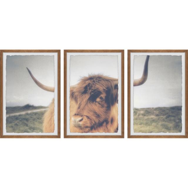 Summit Cow's Eye View - 3 Piece Picture Frame Photograph Gracie Oaks Size: 45cm H x 38cm W x 3.81cm D on Productcaster.