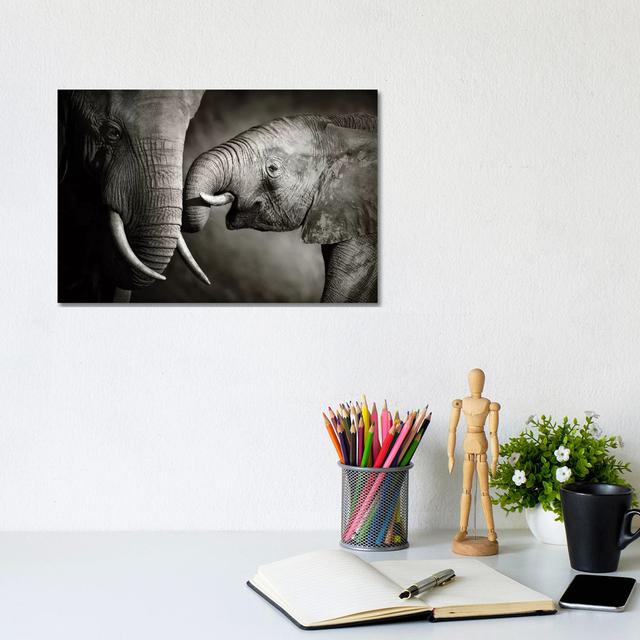 Elephant Affection by Johan Swanepoel - Wrapped Canvas Print Latitude Run Size: 20.32cm H x 30.48cm W x 1.905cm D on Productcaster.