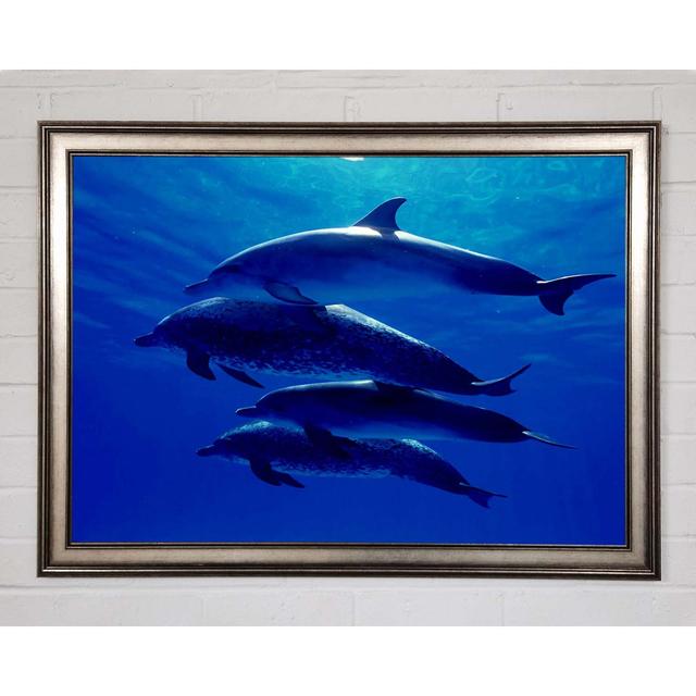 Dolphin Family Framed Print Wall Art House of Hampton Size: 84.1cm H x 118.9cm W x 1.5cm D, Format: Gunmetal Framed Paper on Productcaster.