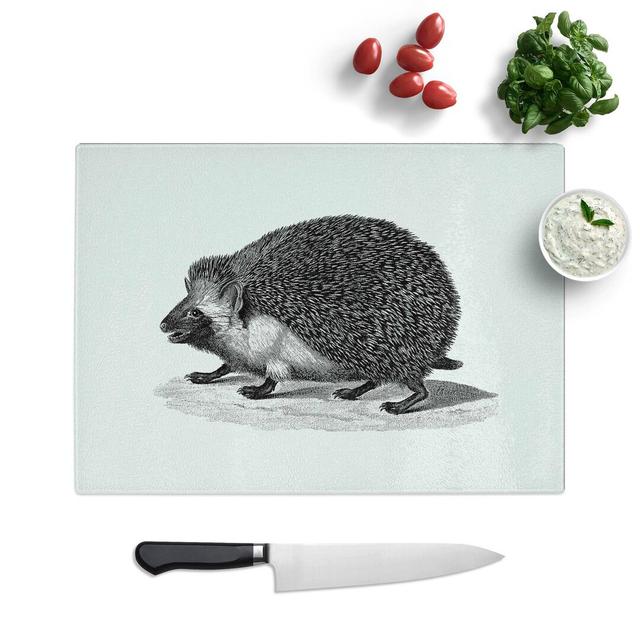 Glass Hedgehog Illustration Chopping Board East Urban Home Size: 39 cm W x 28.5 cm L on Productcaster.