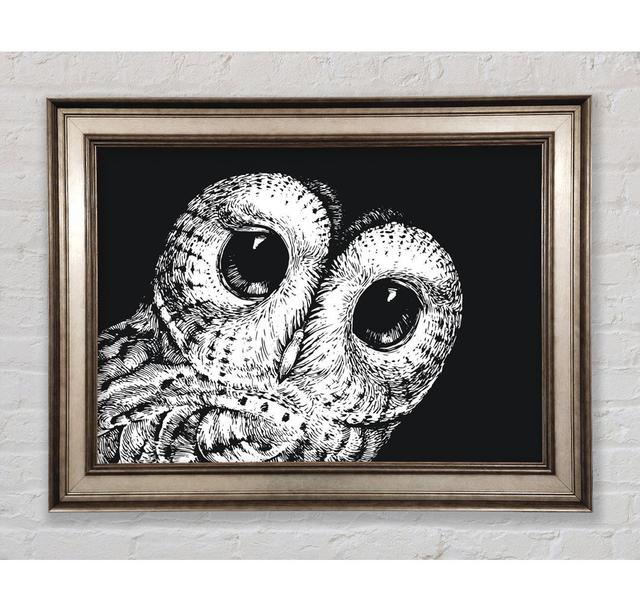 The Big Eyed Owl Framed Print Union Rustic Size: 21cm H x 42cm W on Productcaster.