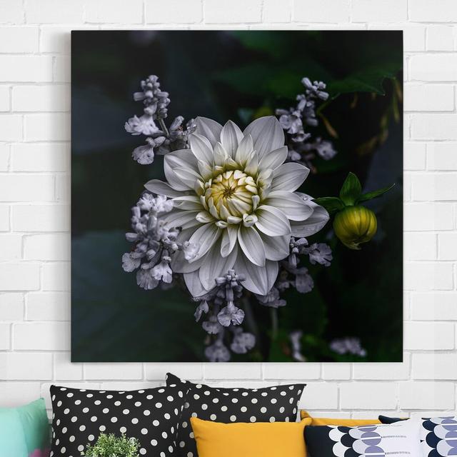 Leinwandbild White Dahlia East Urban Home Größe: 80 cm H x 80 cm B on Productcaster.