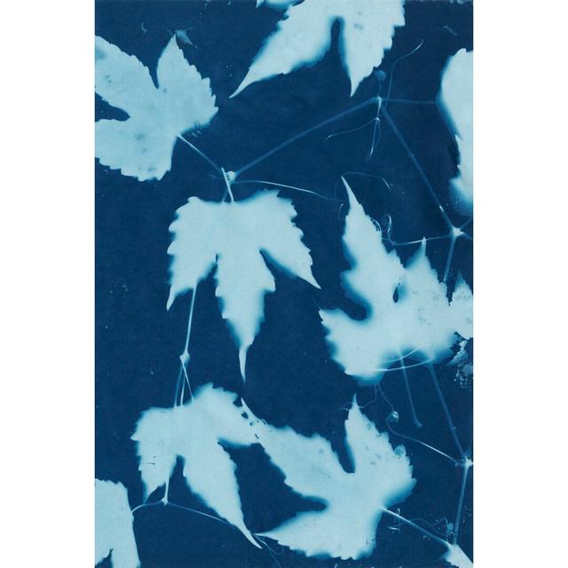 Cyanotype No.10 by Renée W. Stramel - Wrapped Canvas Graphic Art Rosalind Wheeler Size: 91cm H x 61cm W on Productcaster.