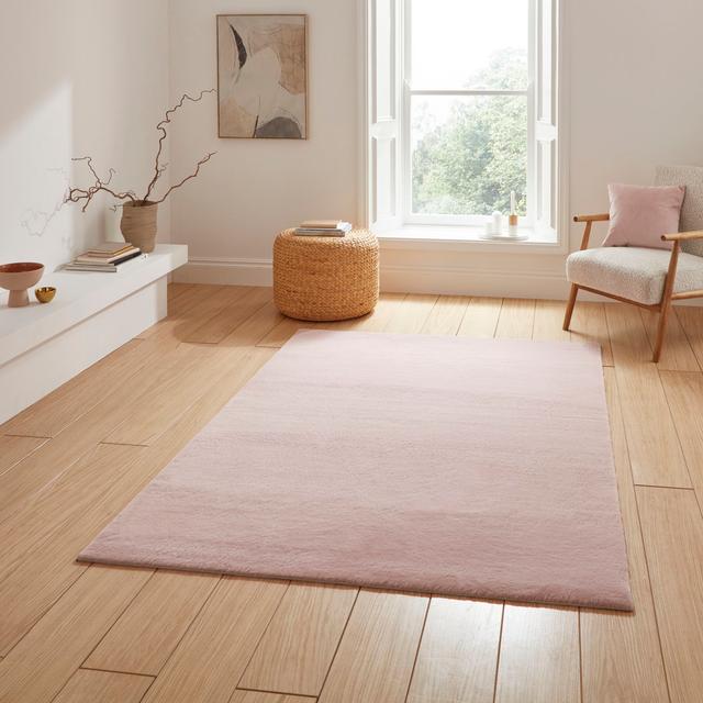 Snug area rug Machine Woven Blush Think Rugs Rug Size: Rectangle 80 x 150cm on Productcaster.