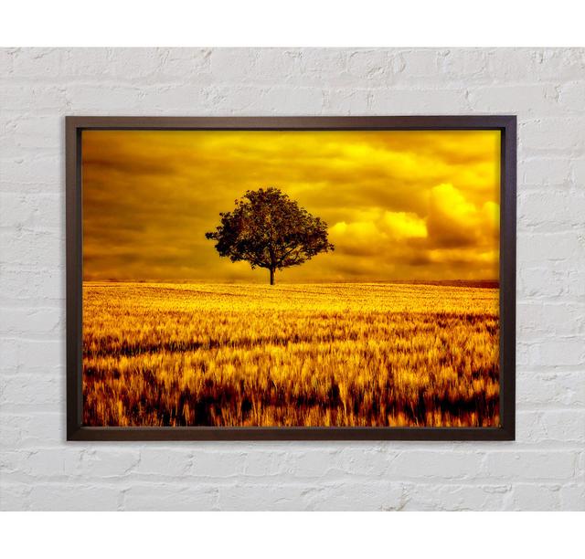 Gold - Single Picture Frame Art Prints on Canvas Bright Star Size: 100cm H x 141.4cm W x 3.3cm D on Productcaster.