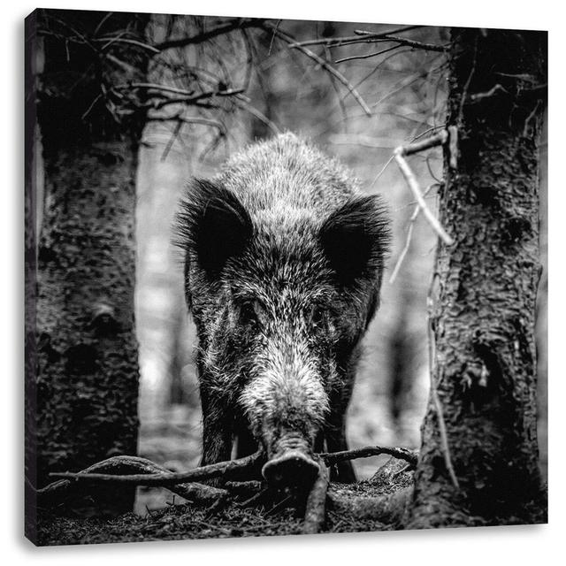 Fotodruck Close up Wild Boar in the Forest Alpen Home Maße: 60 cm H x 60 cm B x 1,8 cm T on Productcaster.