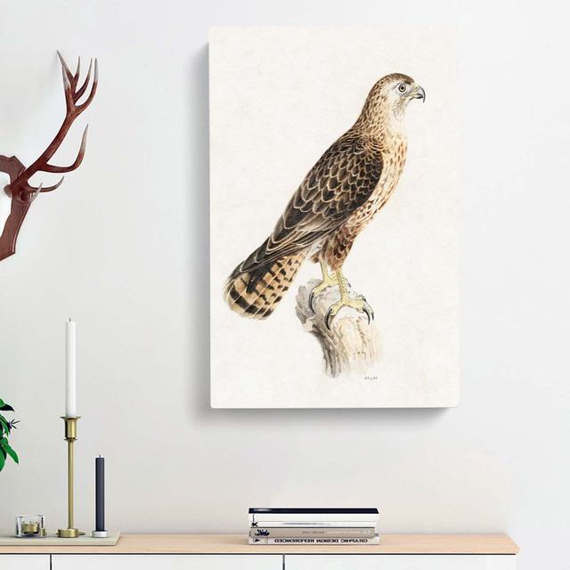 Common Buzzard by Von Wright - Wrapped Canvas Painting Print East Urban Home Size: 60cm H x 40cm W x 3cm D on Productcaster.