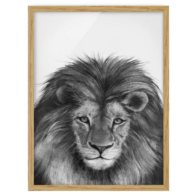 Illustration Lion Black White - Picture Frame Graphic Art Bloomsbury Market Frame Option: Brown Framed, Size: 100cm H x 70cm W x 2cm D on Productcaster.