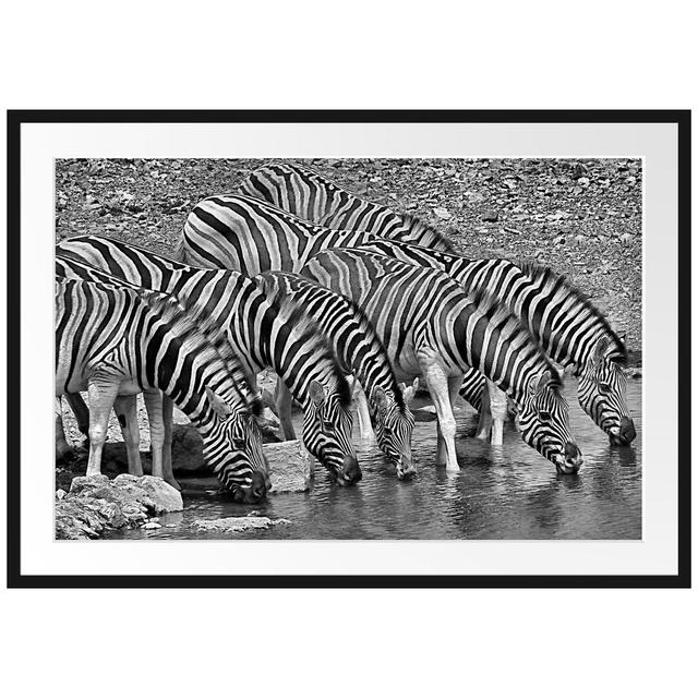 Gerahmtes Poster Zebrafamilie an einem Wasserloch East Urban Home Größe: 70 cm H x 100 cm B x 2,5 cm T, Farbe: Grau on Productcaster.