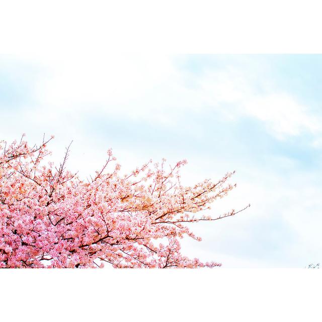 Cherry Blossom In Spring by Minianne - Wrapped Canvas Print 17 Stories Size: 61cm H x 91cm W on Productcaster.