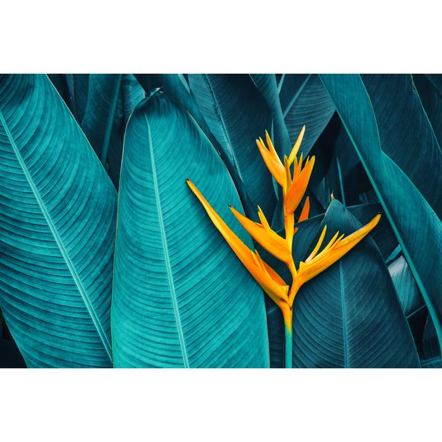 Tropical Exotic Flower - Wrapped Canvas Photograph 17 Stories Size: 61cm H x 91cm W x 3.8cm D on Productcaster.