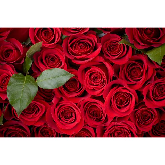 Rose background Wall Art Production Network Size: 20cm H x 30cm W x 3.8cm D on Productcaster.