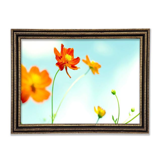 Single Picture Frame Art Prints Ebern Designs Size: 59.7cm H x 84.1cm W on Productcaster.