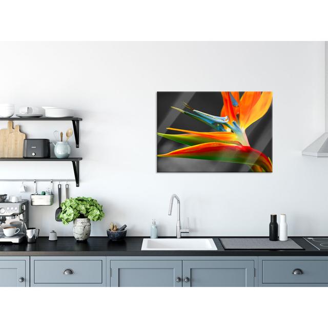 Beautiful Tropical Flower - Unframed Photograph on Glass 17 Stories Size: 70cm H x 100cm W x 0.4cm D, Colour: Orange on Productcaster.