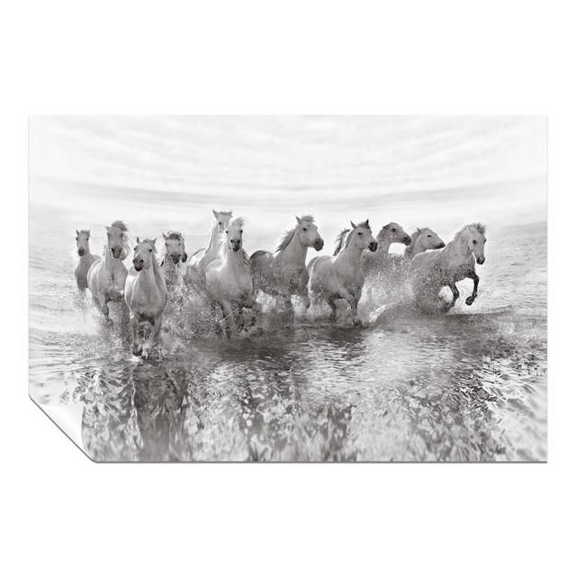 White Horses in the Sea - Wrapped Canvas Photograph Gracie Oaks Size: 51cm H x 76cm W x 0.5cm D on Productcaster.