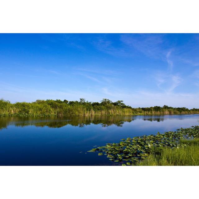 River Of Grass by BobHemphill - No Frame Art Prints on Canvas Beachcrest Home Size: 51cm H x 76cm W on Productcaster.