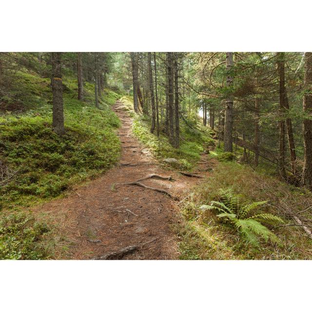 Mountain Path by Lorenzot81 - Wrapped Canvas Photograph Alpen Home Size: 30cm H x 46cm W on Productcaster.