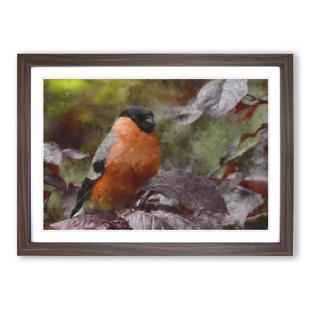 Bullfinch Bird - Picture Frame Painting East Urban Home Frame Option: Walnut Framed, Size: 36cm H x 48cm W x 2cm D on Productcaster.