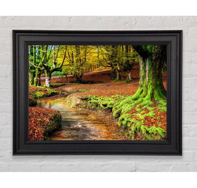 Gentle Shallow Stream Woodland - Print Union Rustic Size: 84.1cm H x 142.2cm W x 8cm D on Productcaster.