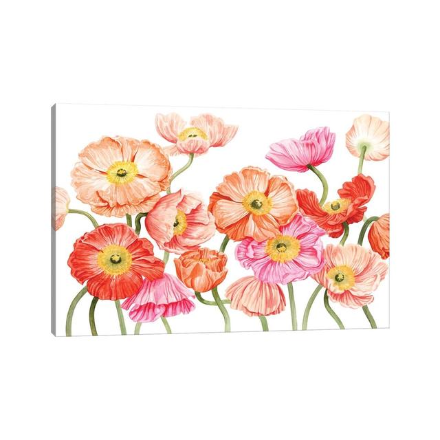 Bright Poppies III by Grace Popp - Wrapped Canvas Print ClassicLiving Size: 30.48cm H x 45.72cm W x 1.91cm D on Productcaster.