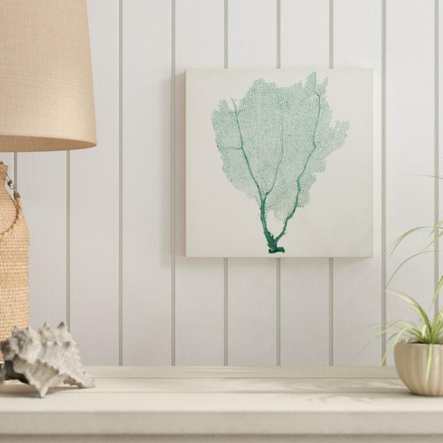 Sea Fan I by Vision Studio - Wrapped Canvas Painting Blue Elephant Size: 30cm H x 30cm W on Productcaster.