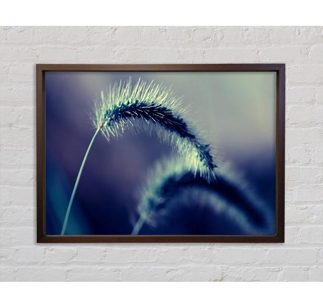 Spikelets Macro - Print Bright Star Size: 84.1cm H x 118.9cm W x 3.3cm D on Productcaster.