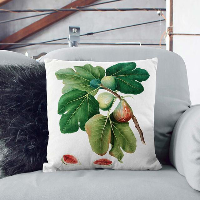 Common Figs by Giorgio Gallesio Cushion with Filling East Urban Home Size: 55cm H x 55cm W x 20cm D, Backing Colour: Stone on Productcaster.