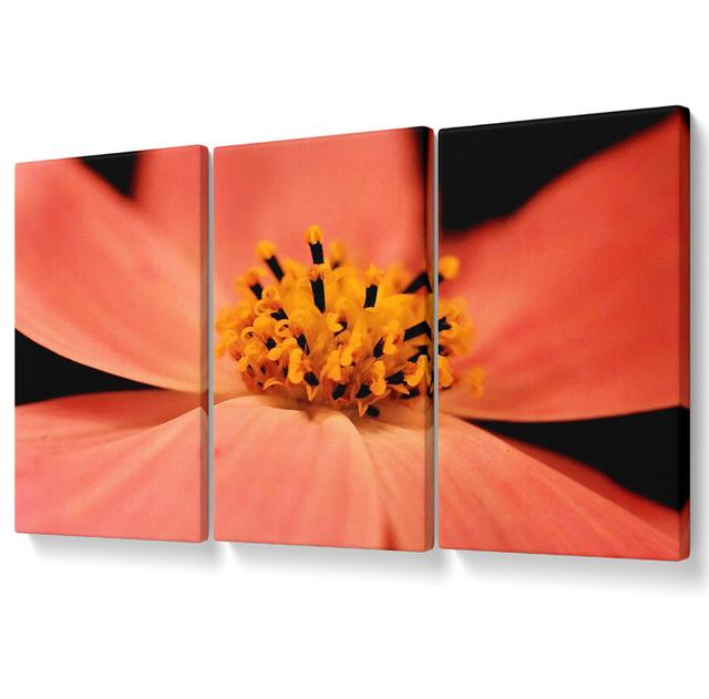 Orange Petal Beauty - 3 Piece Wrapped Canvas Graphic Art Ebern Designs Size: 121.9cm H x 243.8cm W on Productcaster.