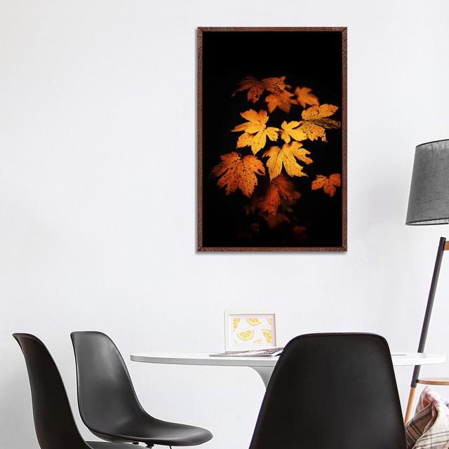 Autumn Photo by Philippe Sainte-Laudy - Print on Canvas Latitude Run Format: Classic Brown Wood Framed, Size: 101.6cm H x 66.04cm W x 3.81cm D on Productcaster.