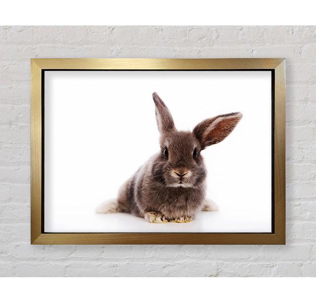 Curiosity Bunny - Single Picture Frame Art Prints Bright Star Size: 84.1cm H x 118.9cm W x 3.4cm D on Productcaster.