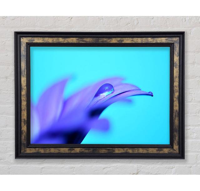 Purple Petals - Single Picture Frame Art Prints Bright Star Size: 84.1cm H x 142.2cm W x 8cm D on Productcaster.