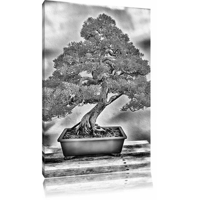 Leinwandbild Bonsai Baum in Monochrom East Urban Home Größe: 100 cm H x 70 cm B on Productcaster.