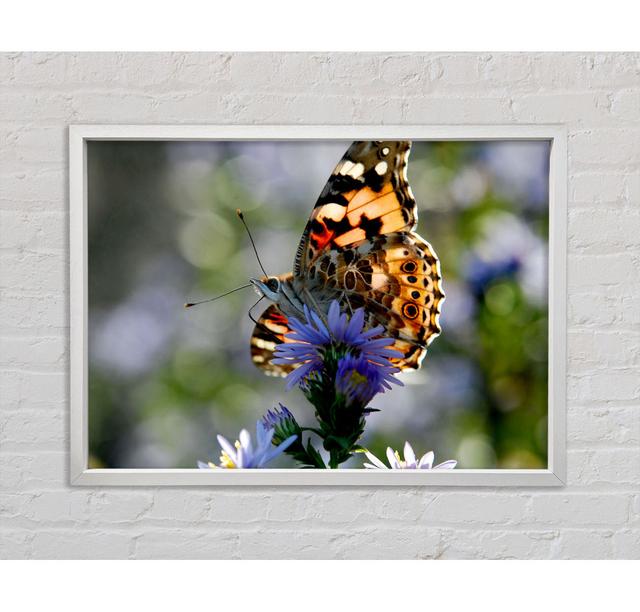 Purple Flower Butterfly - Single Picture Frame Art Prints on Canvas Bright Star Size: 59.7cm H x 84.1cm W x 3.3cm D on Productcaster.