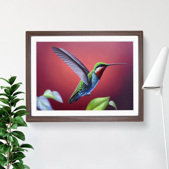 Charming Hummingbird - Single Picture Frame Print Ebern Designs Size: 34cm H x 46cm W x 2cm D, Frame Colour: Walnut on Productcaster.