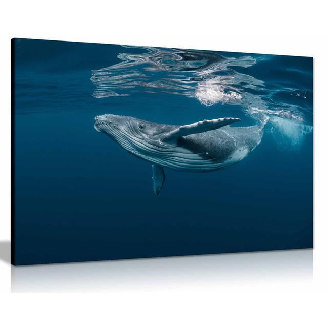 Humpback Whale Ocean 3 Canvas Wall Art Picture Print Home Dcor Highland Dunes Size: 31cm H x 46cm W on Productcaster.