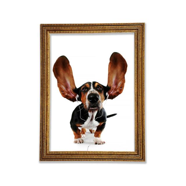 Basset Hound Music - Print Ebern Designs Size: 59.7cm H x 42cm W x 3cm D on Productcaster.