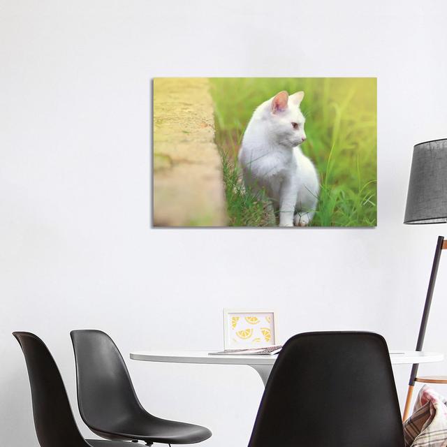 White Cat 61 by Ben Heine - Wrapped Canvas Print Ebern Designs Size: 66.04cm H x 101.6cm W x 3.81cm D on Productcaster.